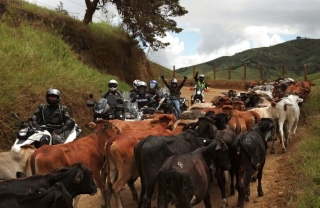 <p>Camino a Venecia</p> Camino a Venecia