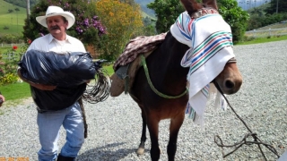 El primo de Juán Valdéz