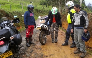 Sembrados de té: orgullo roto